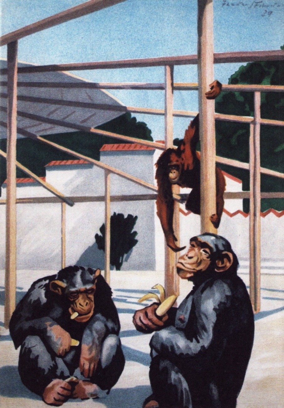 In Hellabrunn wird die Menschenaffenstation eröffnet